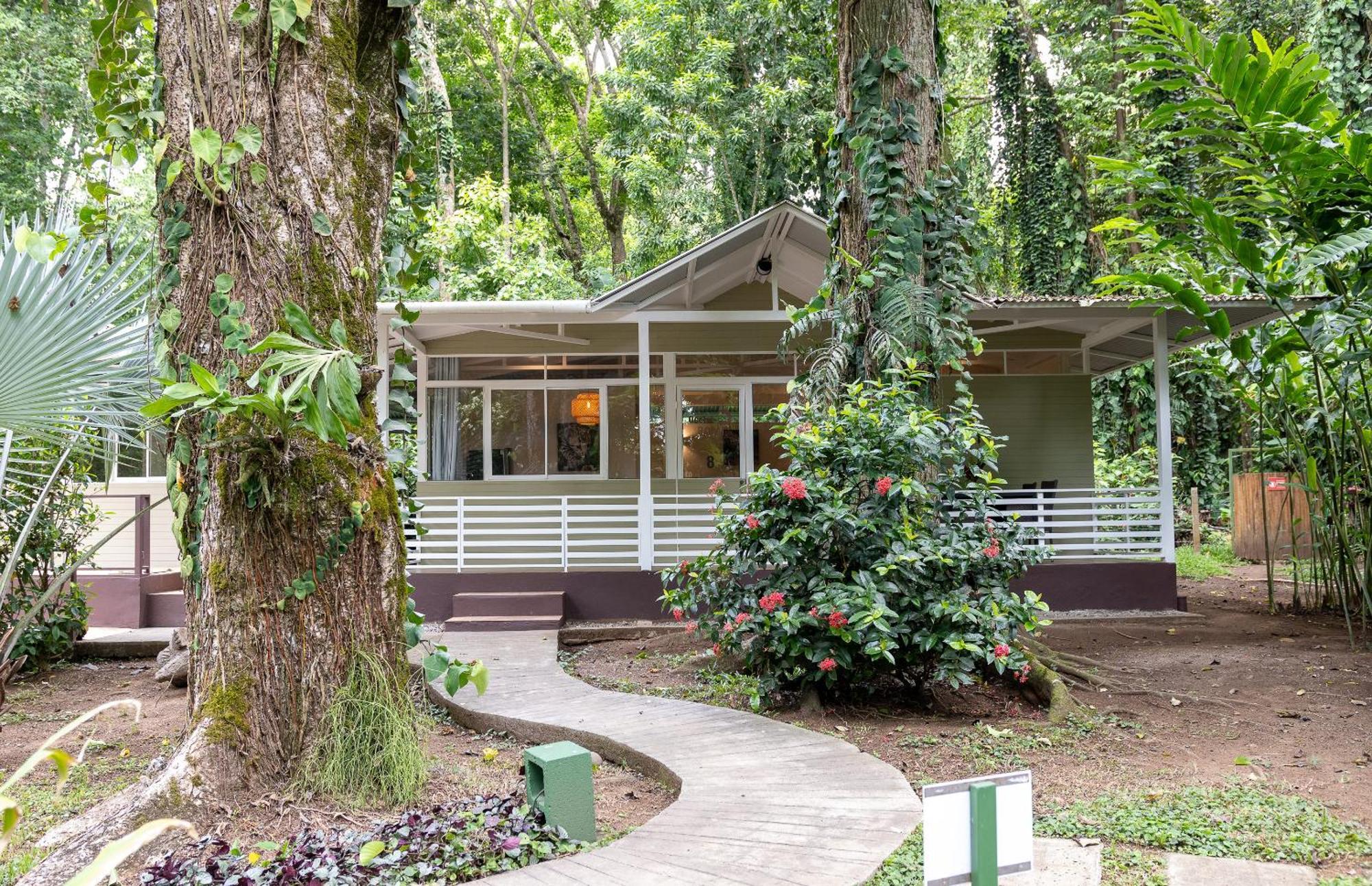 Jaguar Inn Bungalows Puerto Viejo de Talamanca Kültér fotó