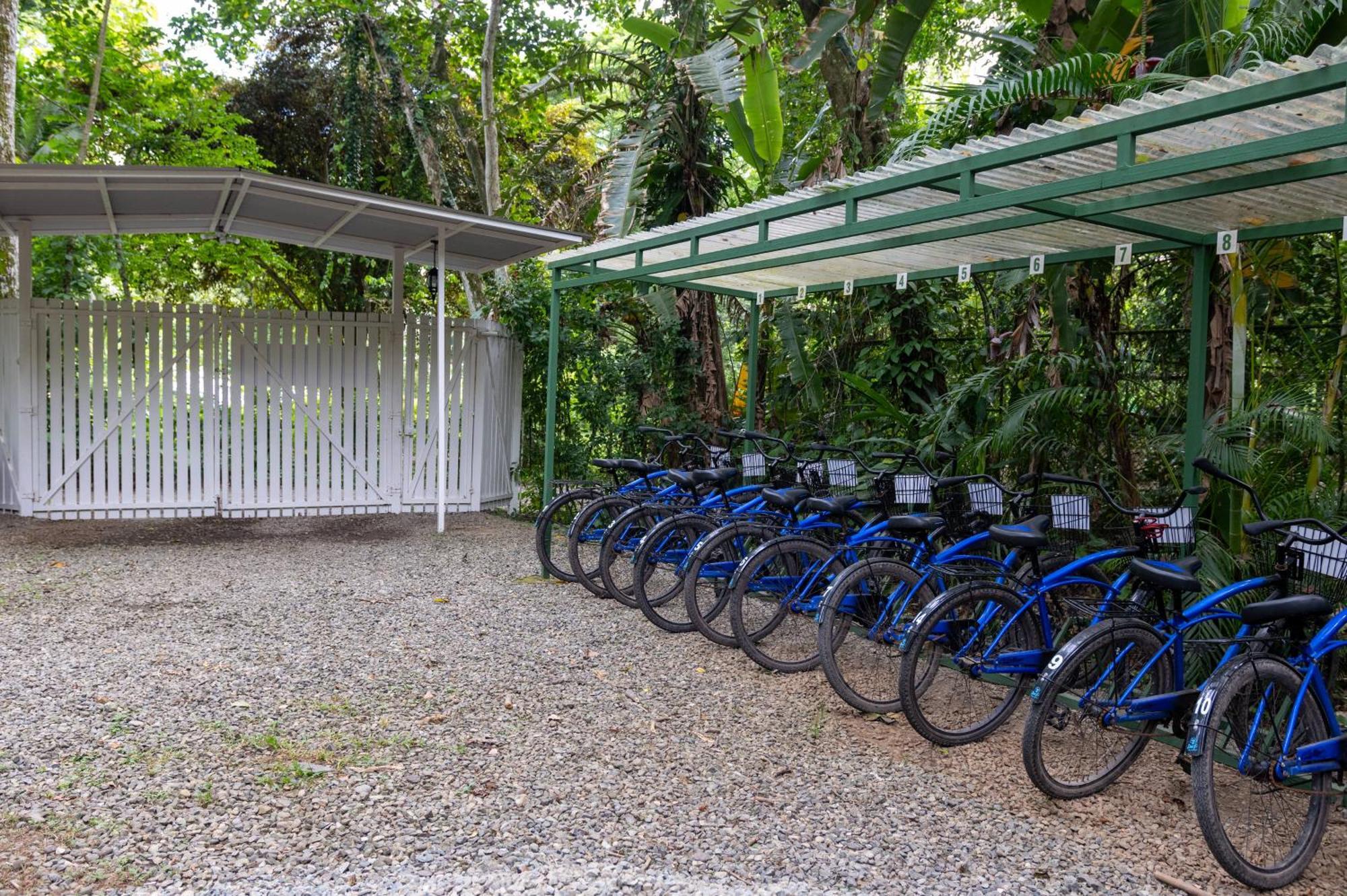 Jaguar Inn Bungalows Puerto Viejo de Talamanca Kültér fotó