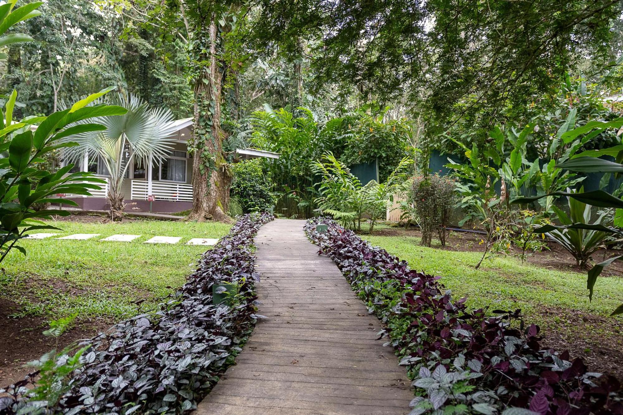 Jaguar Inn Bungalows Puerto Viejo de Talamanca Kültér fotó